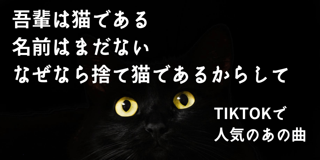 Tiktokで人気 吾輩は猫である名前はまだないなぜなら捨て猫であるからして の歌詞は 誰の曲 其ノ先さん ミカンチュウ